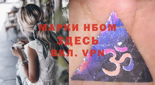 мдпв Вяземский