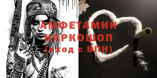 мдпв Вяземский